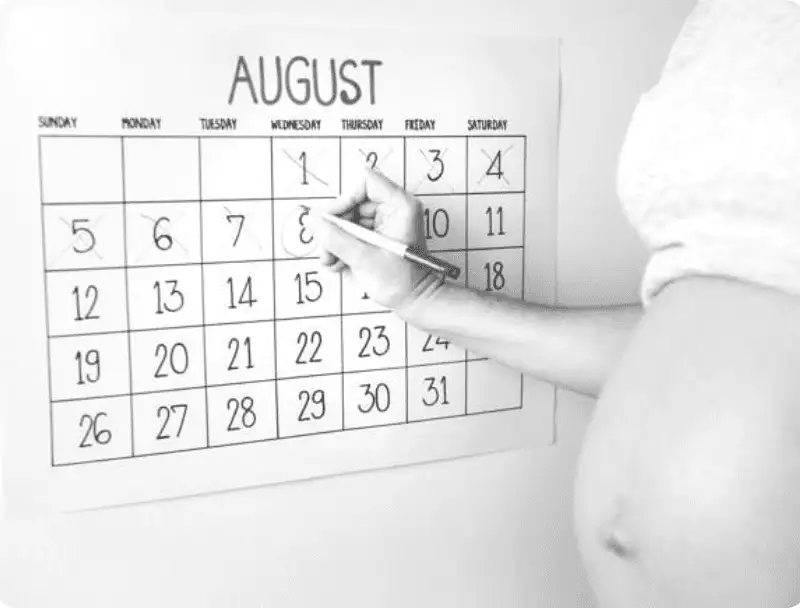 Appointment Chesapeake Srrogacy Center