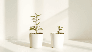 Two plants representing gestational and traditional surrogacy differences explained by Chesapeake Surrogacy Center in Virginia